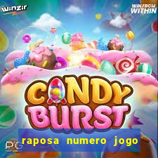 raposa numero jogo do bicho